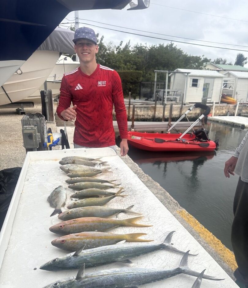 Fresh caught cero mackerel and yellowfin displayed on boat deck after successful fishing trip