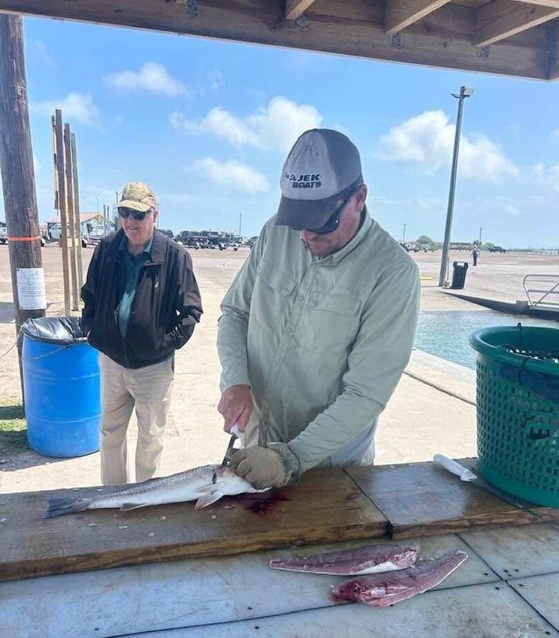Fish being cleaned and filleted on wooden cleaning station at marina