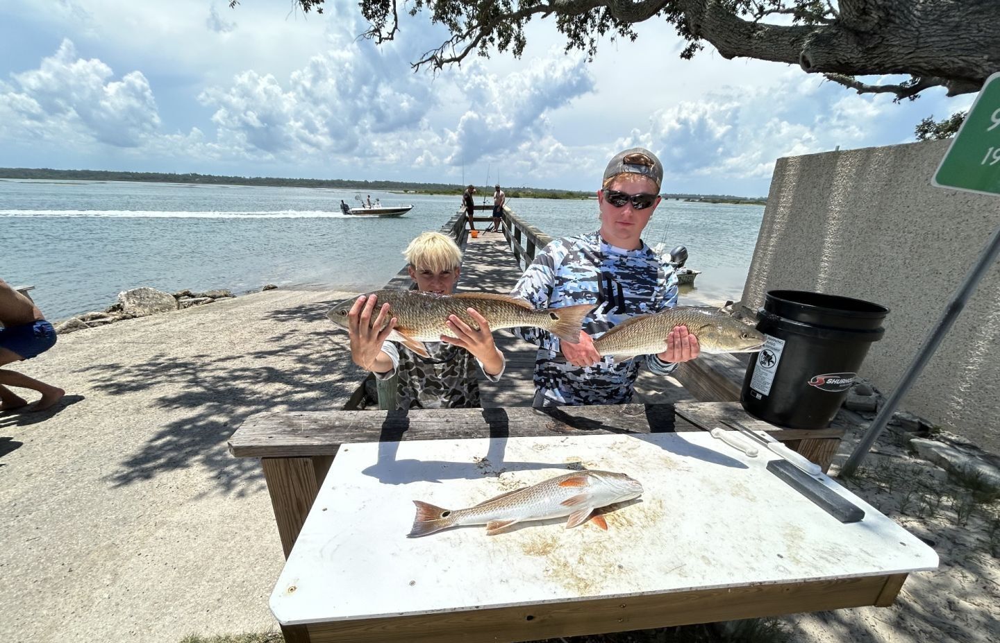 Two redfish displayed on cleaning table at waterfront fishing location