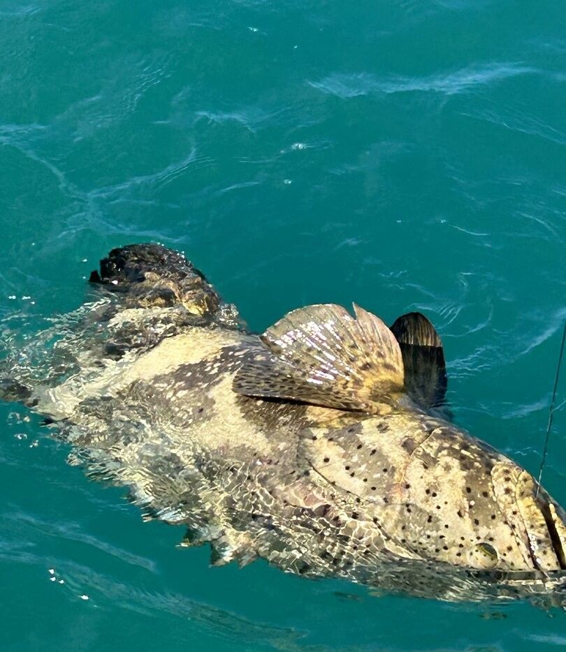 Fisherman's lucky catch in unknown location