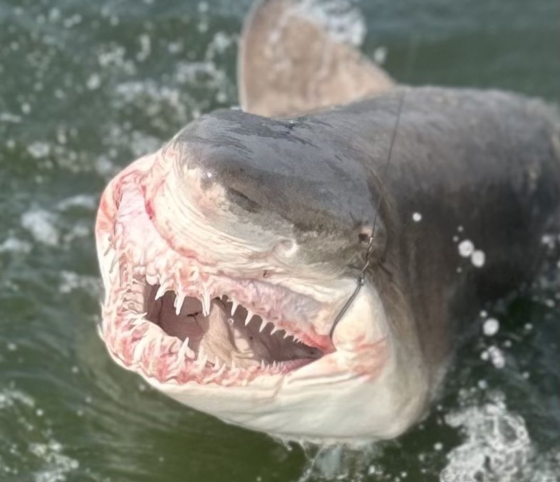 Fishing in an unknown location