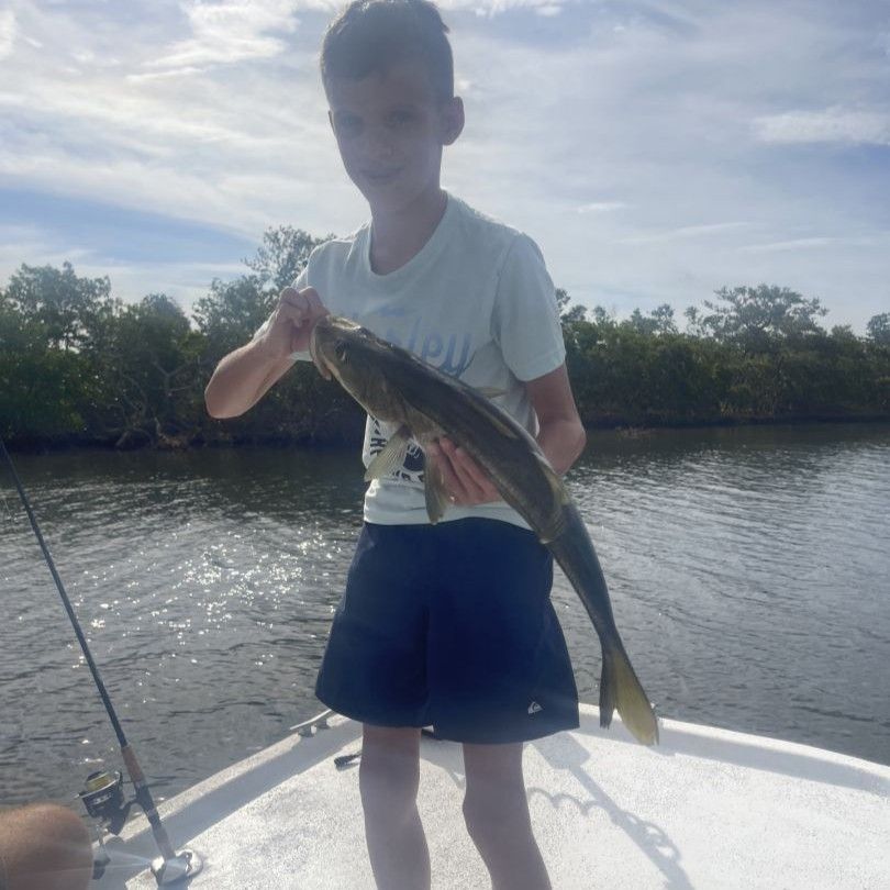 Angler holding freshly caught fish on boat deck with water and trees in background