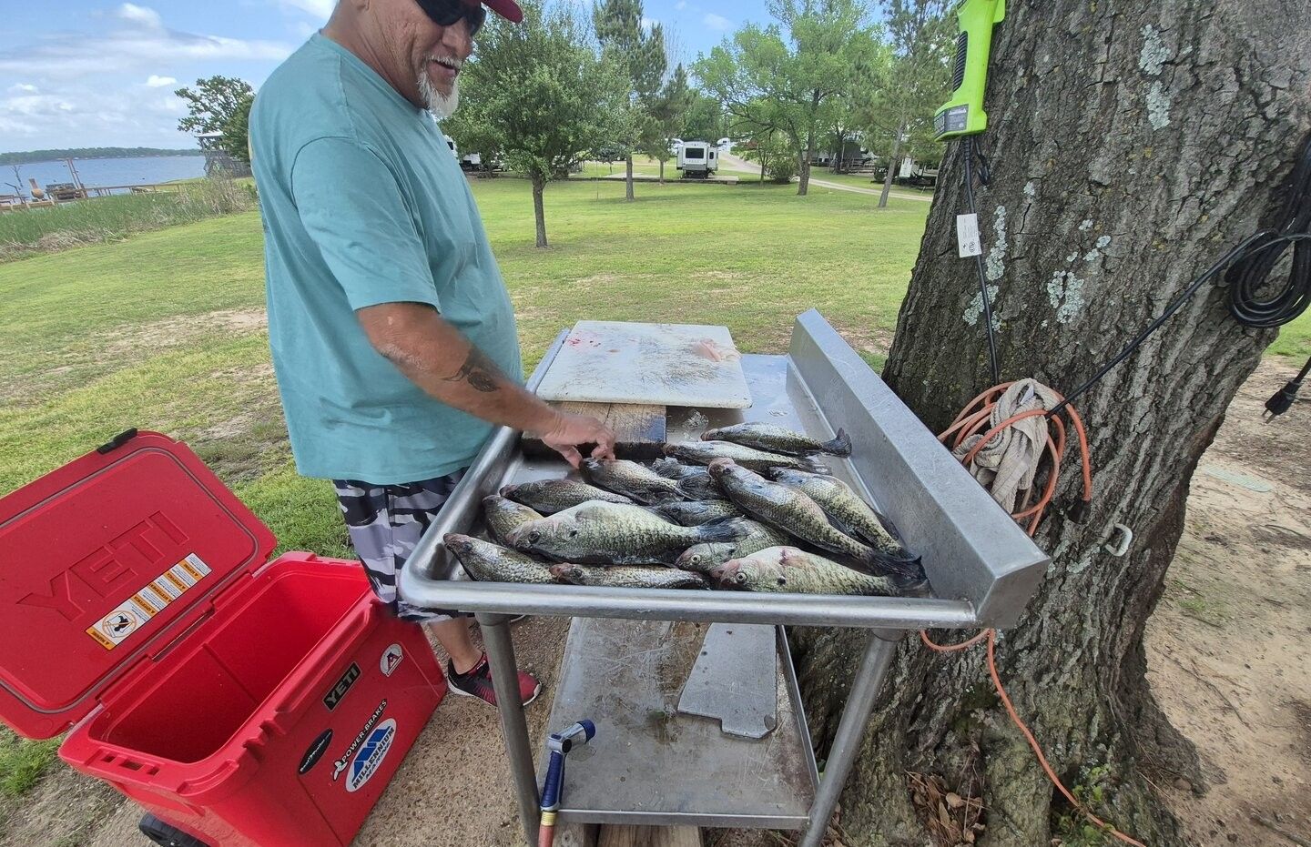 Fresh caught fish displayed on cleaning station at outdoor camping area