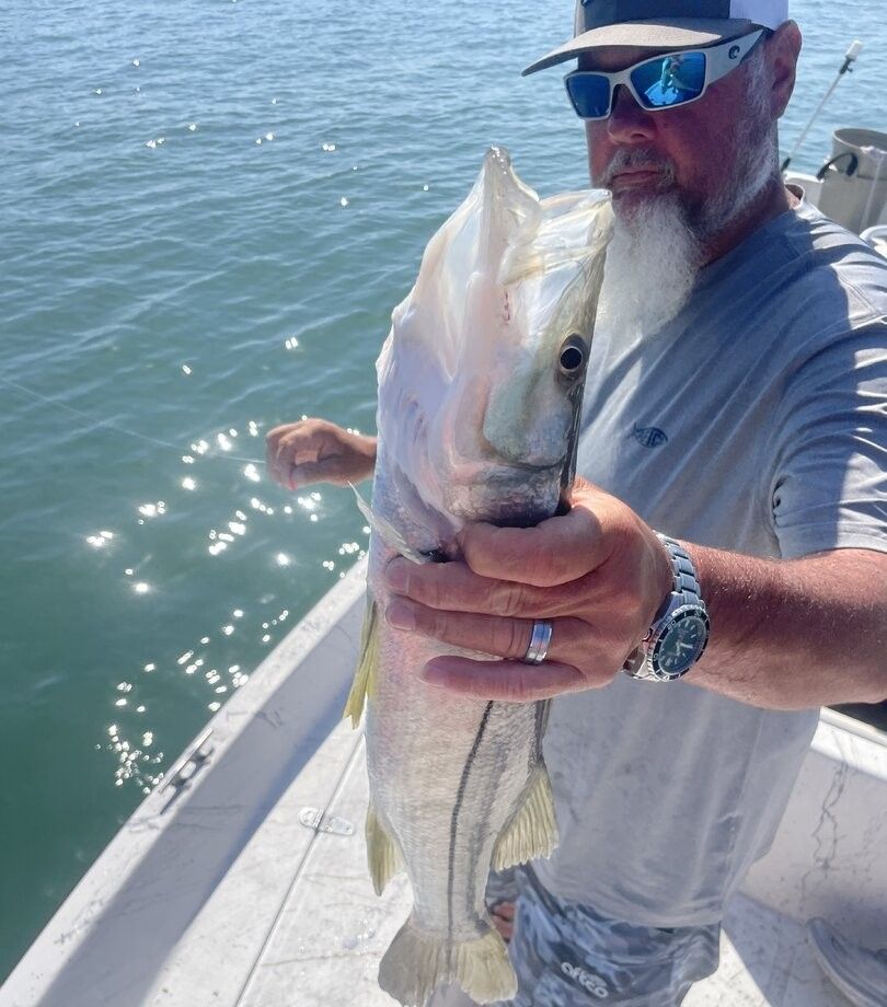 Freshly caught snook being held on fishing boat over water