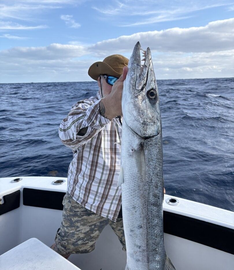 Great barracuda caught during deep sea fishing trip on boat