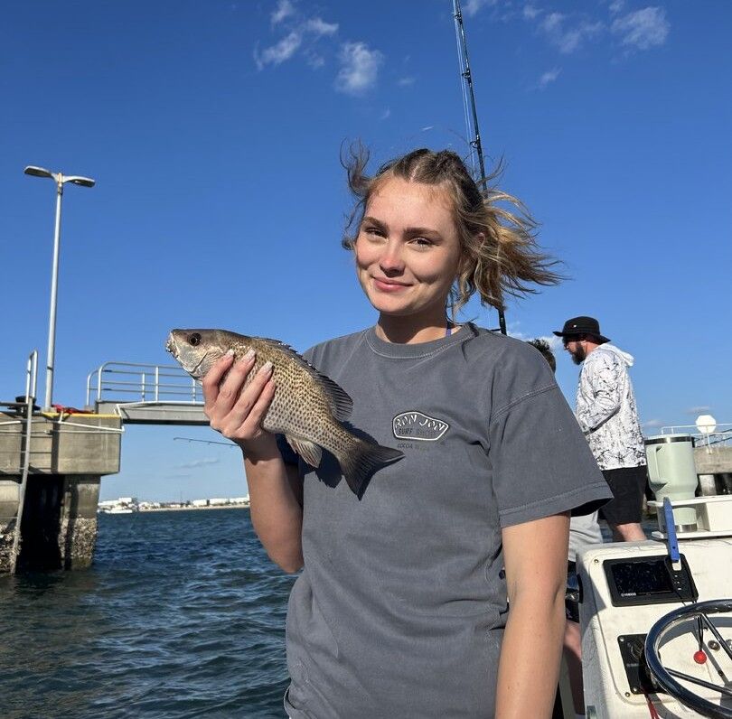Grey snapper caught while fishing on boat at dock