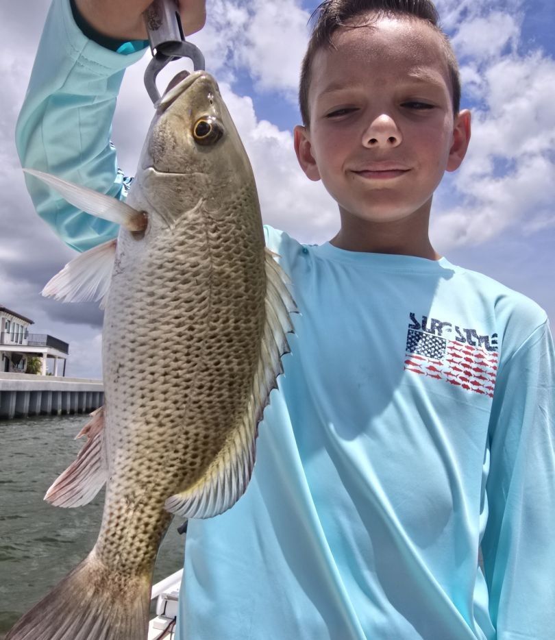 Grey snapper caught while fishing outdoors