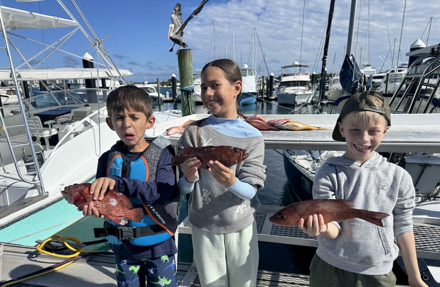 Three children displaying freshly caught grey snapper and other fish species on fishing boat at marina