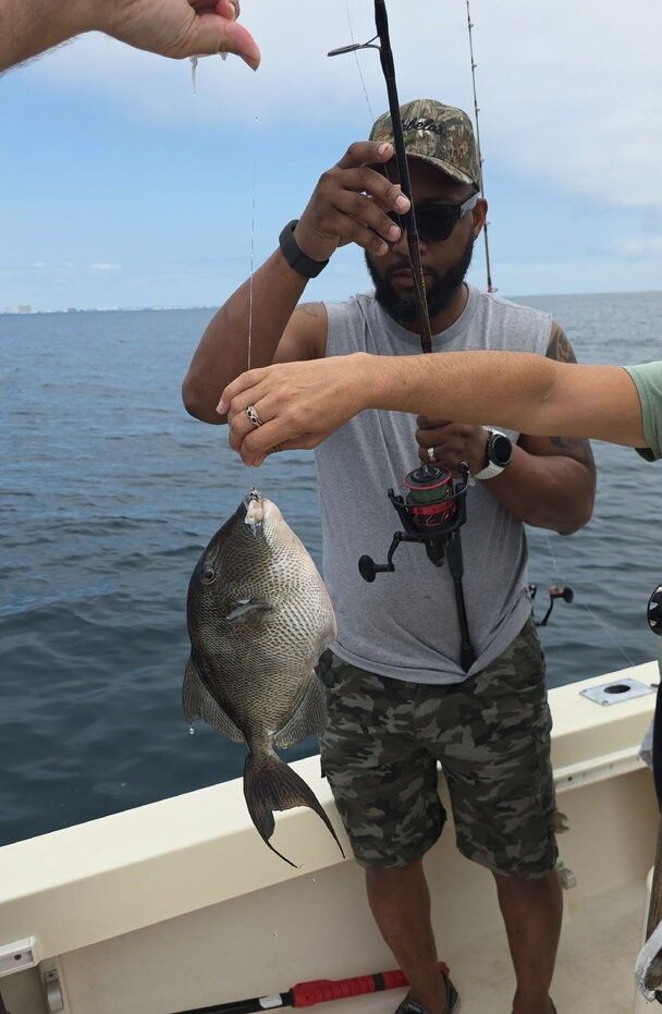 Grey triggerfish caught on fishing line being held on boat deck over ocean water