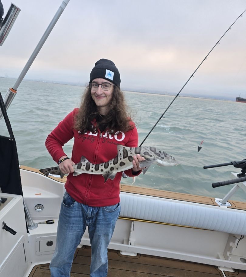 Leopard shark caught during fishing trip on boat deck over ocean water