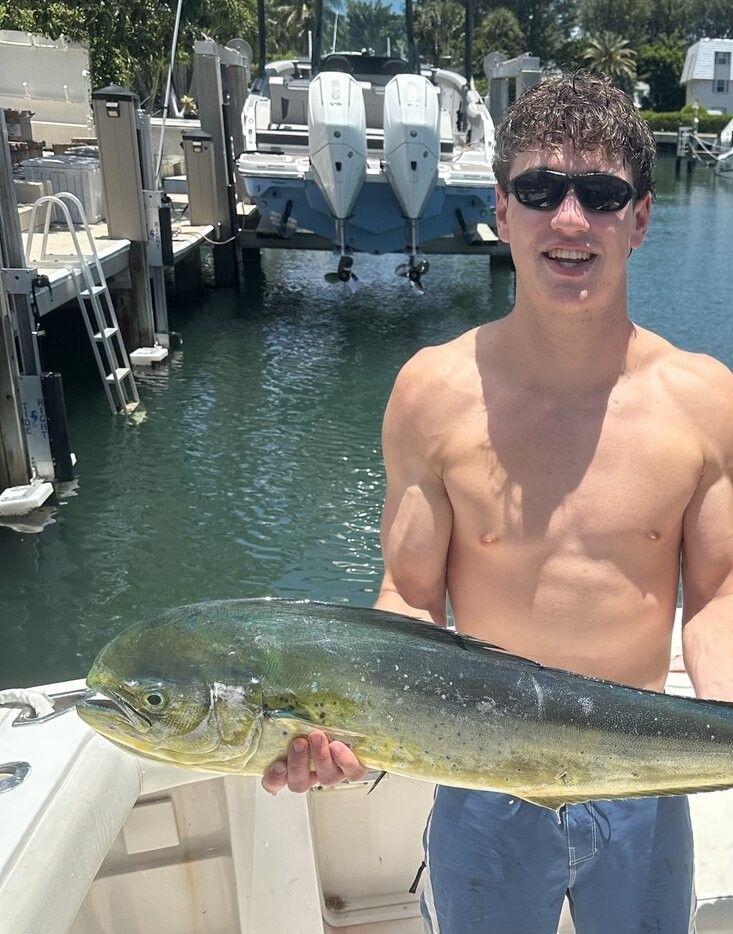 Freshly caught mahi mahi displayed on fishing boat at marina