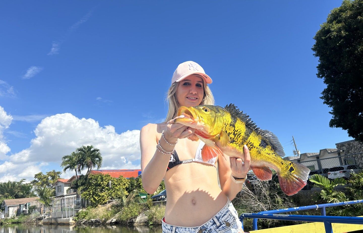 Peacock bass catch displayed outdoors with tropical vegetation in background