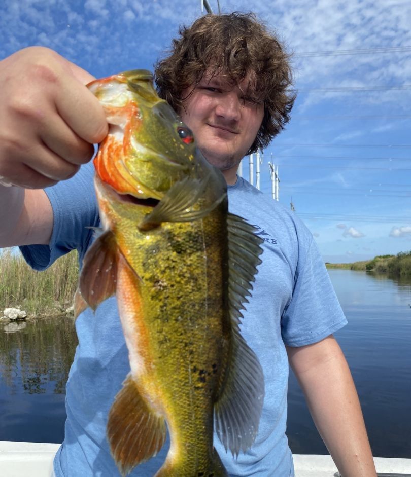 Peacock bass caught while fishing outdoors on the water