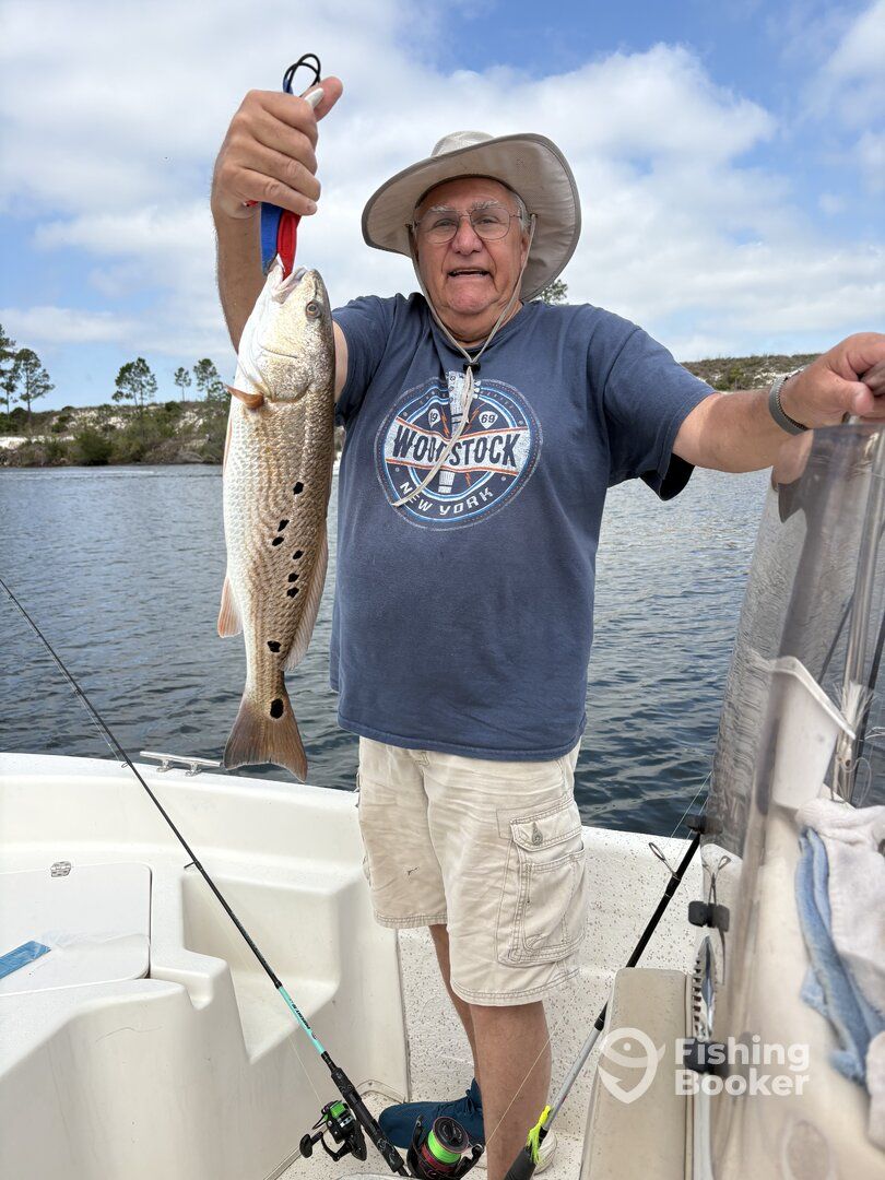 Freshly caught redfish being held up on fishing boat