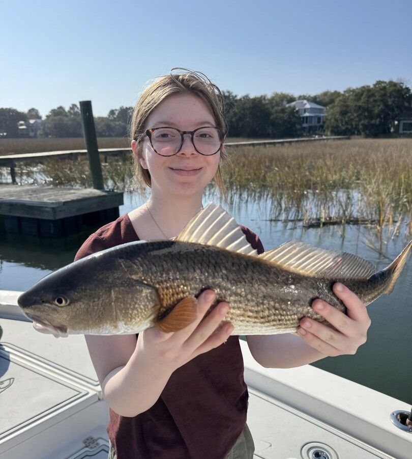 Freshly caught redfish being held on fishing boat