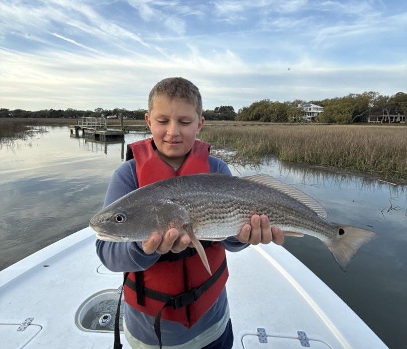 Redfish catch displayed on boat in marshy waterway