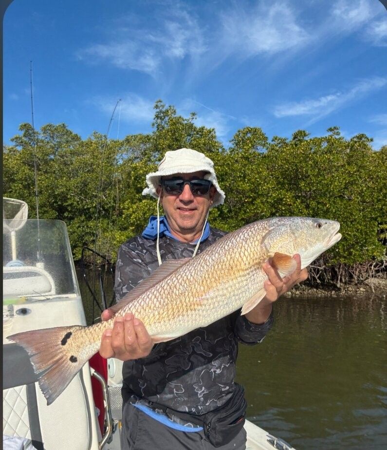 Angler holding large redfish on fishing boat with mangroves in background