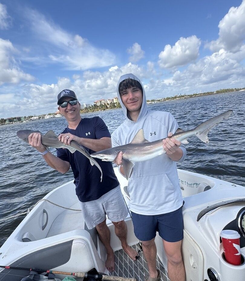 Two anglers on boat displaying freshly caught sandbar sharks