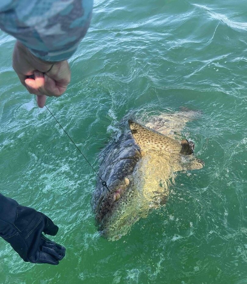 Picturesque fishing scene at unknown location