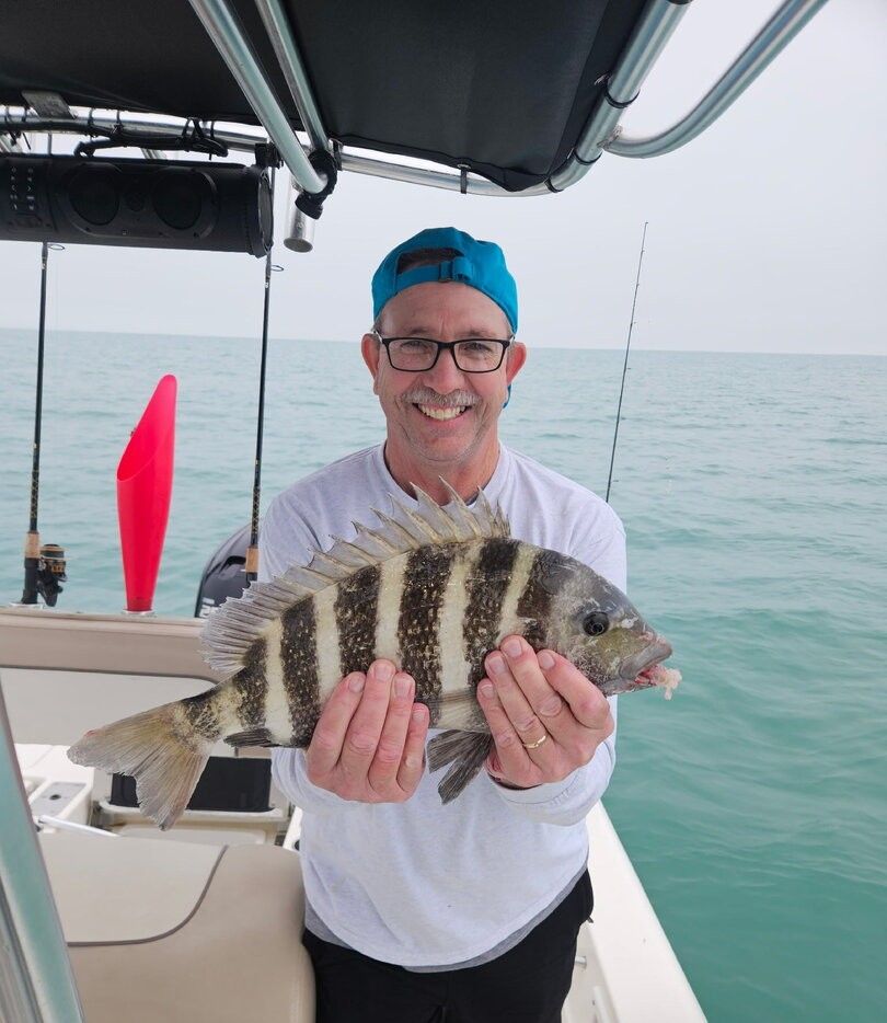 Freshly caught sheepshead fish being held on fishing boat deck over ocean water