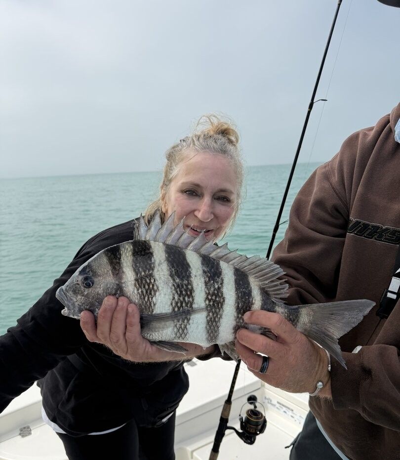 Freshly caught sheepshead fish being held on fishing boat over ocean water