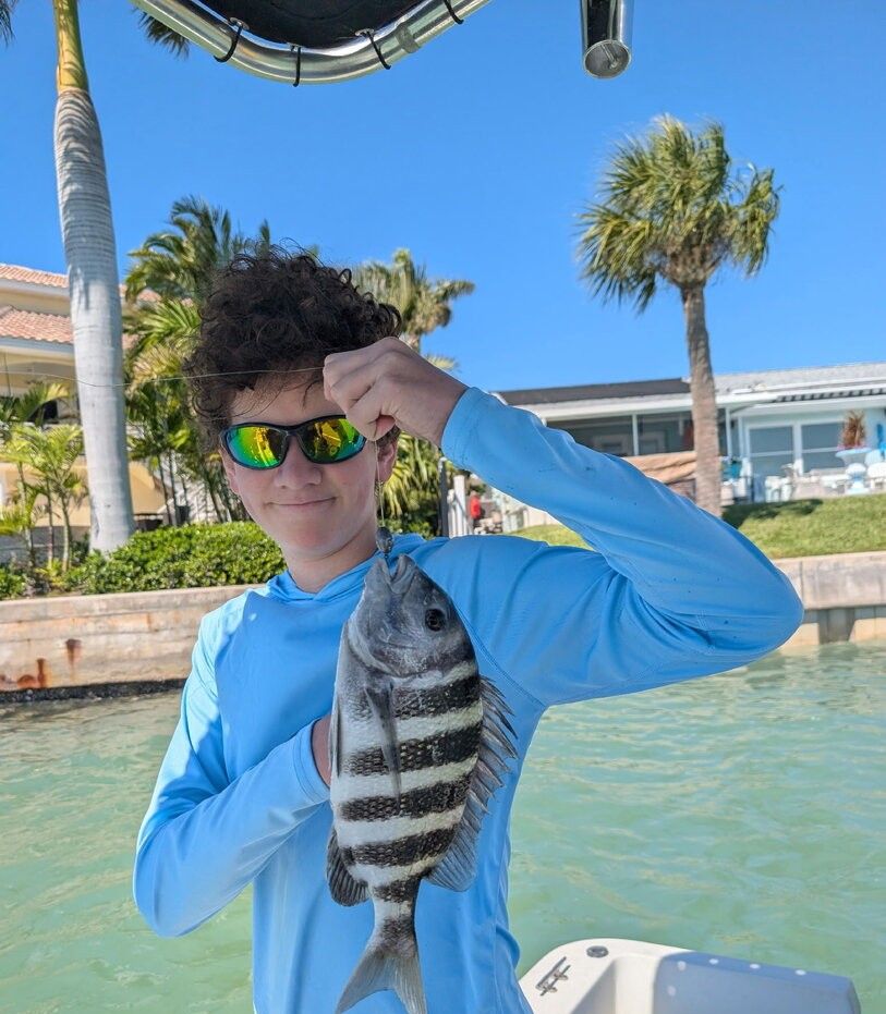 Fresh caught sheepshead fish being displayed on fishing boat in tropical waters with palm trees in background