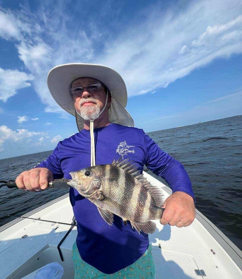 Sheepshead fish caught while fishing