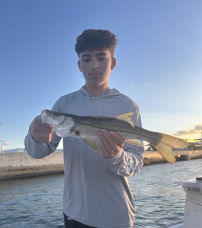 Freshly caught snook displayed after successful fishing trip