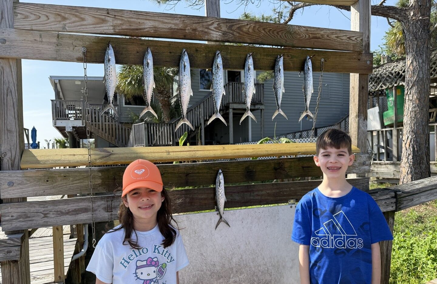 Spanish mackerel and king mackerel hanging on wooden fish cleaning station outdoors