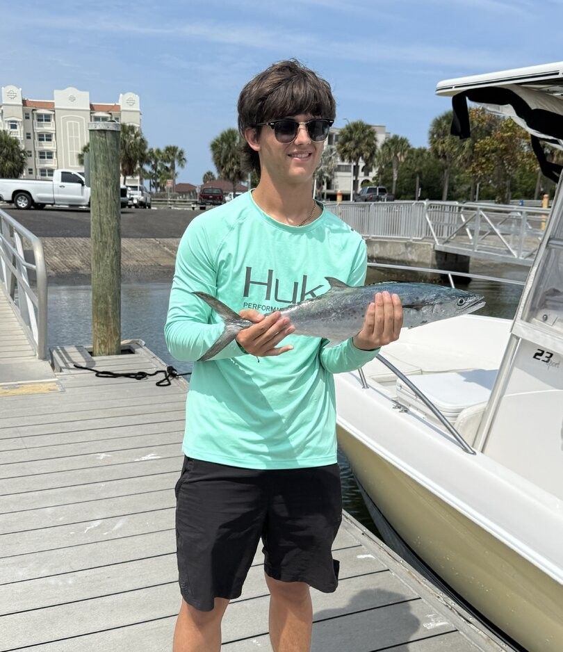 Spanish mackerel catch displayed on marina dock