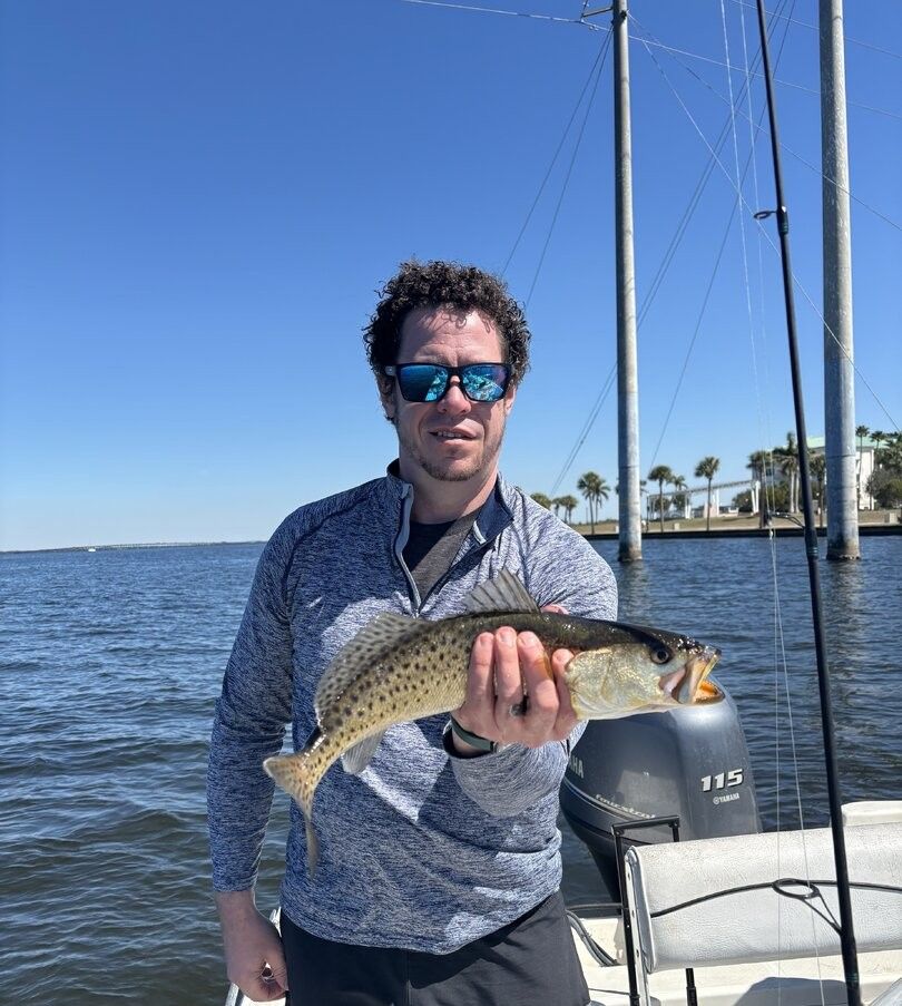 Freshly caught speckled trout being held on fishing boat
