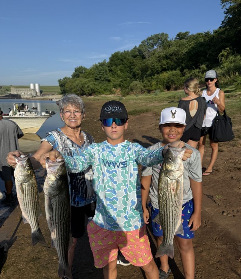 Three striped bass caught while fishing
