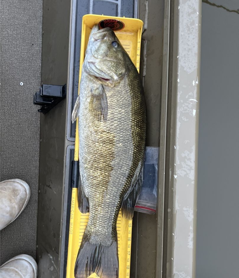 Fishing in an unknown location