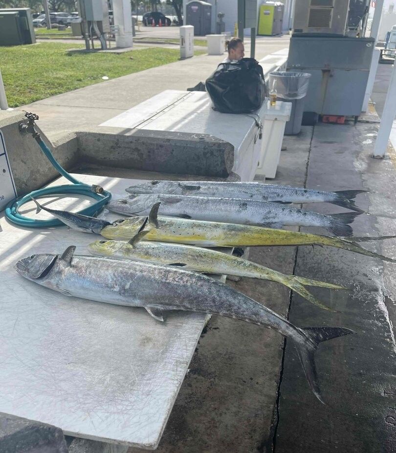 Wahoo Fish and Muskellunge caught by a fisherman in an unknown location