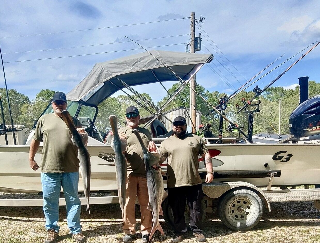 Three large fish displayed after successful fishing trip with boat and fishing equipment in background