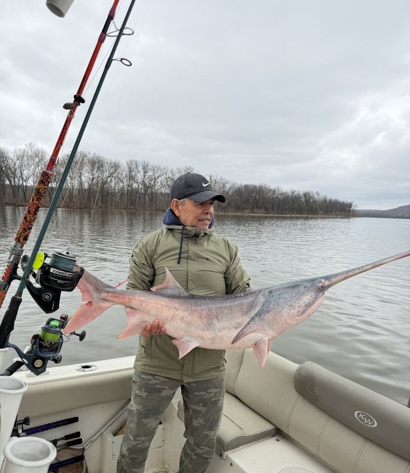 Large catfish being held on fishing boat with multiple fishing rods visible