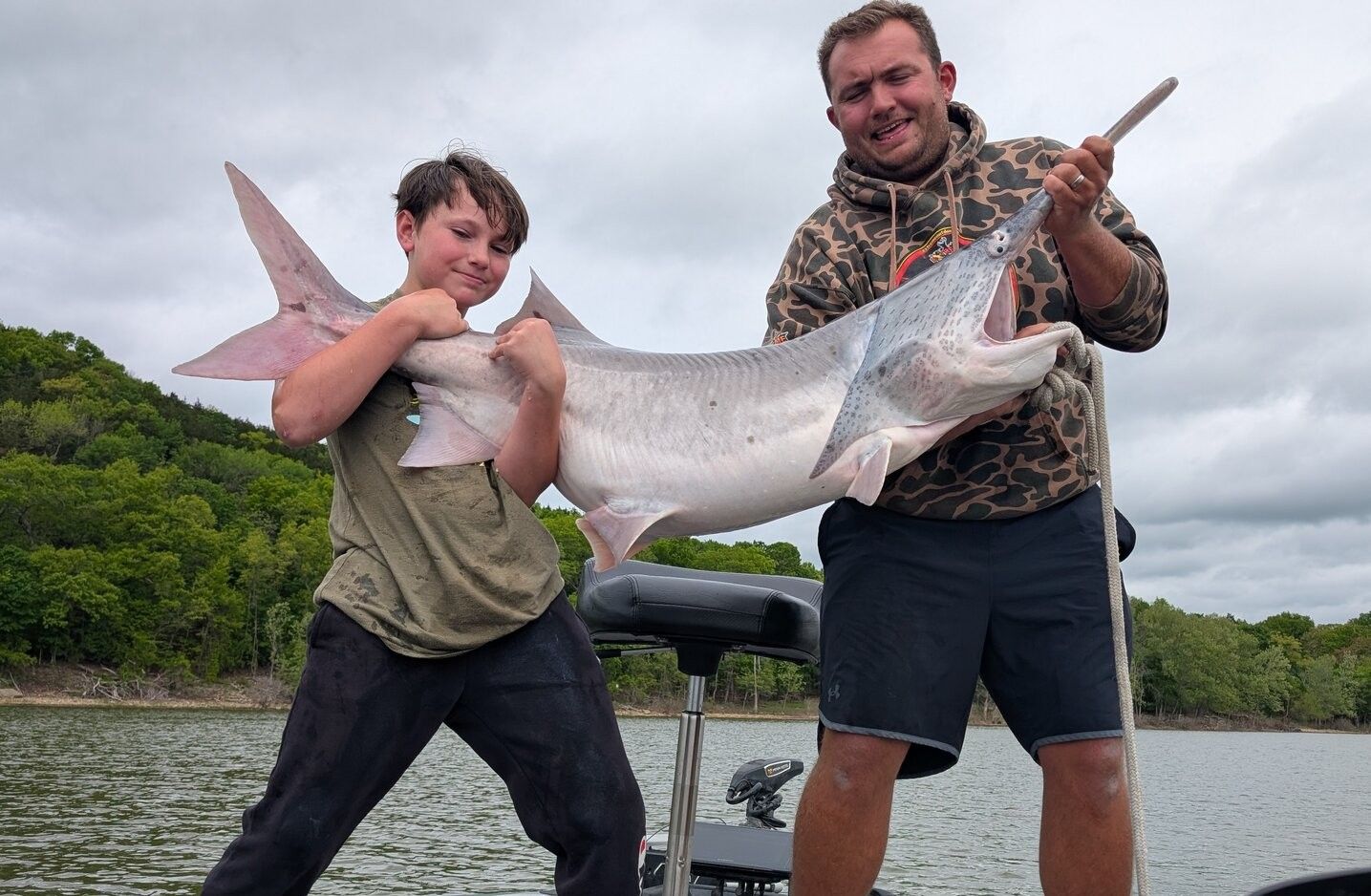 Large catfish catch displayed on fishing boat with wooded shoreline in background