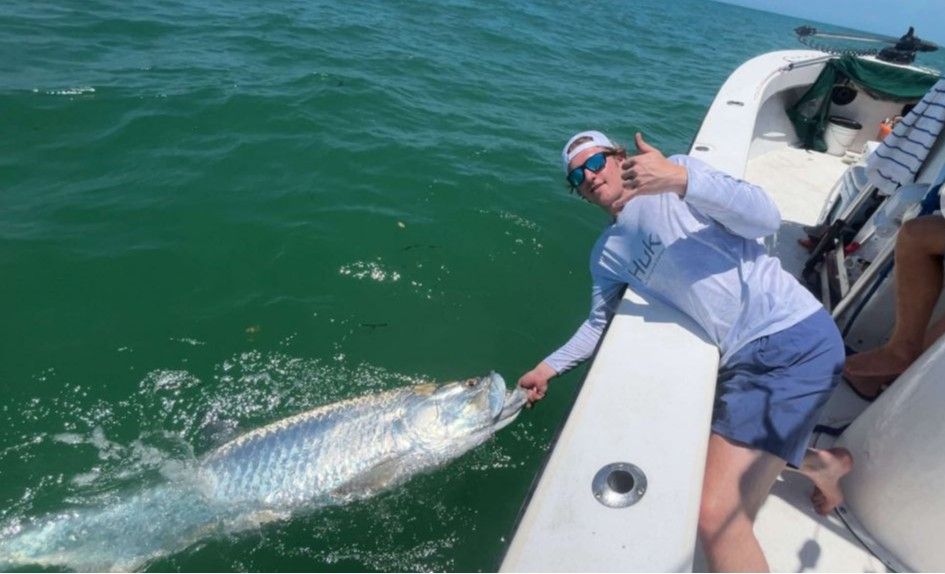 Large tarpon being released alongside fishing boat in green ocean water