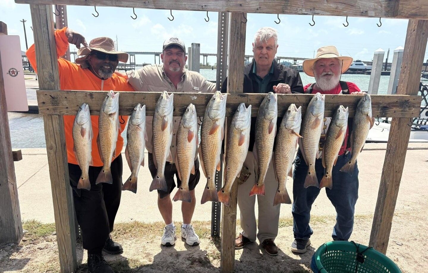 Twelve redfish hanging on wooden display rack at marina dock after successful fishing trip