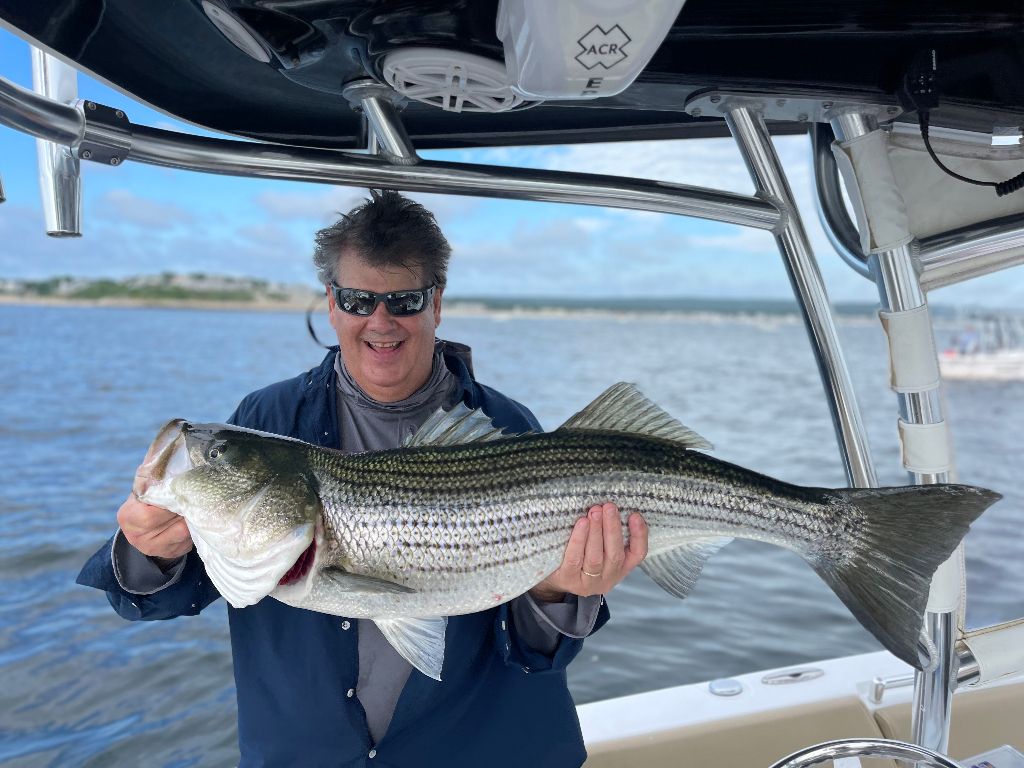 Striped Bass, 37 inches, fishing