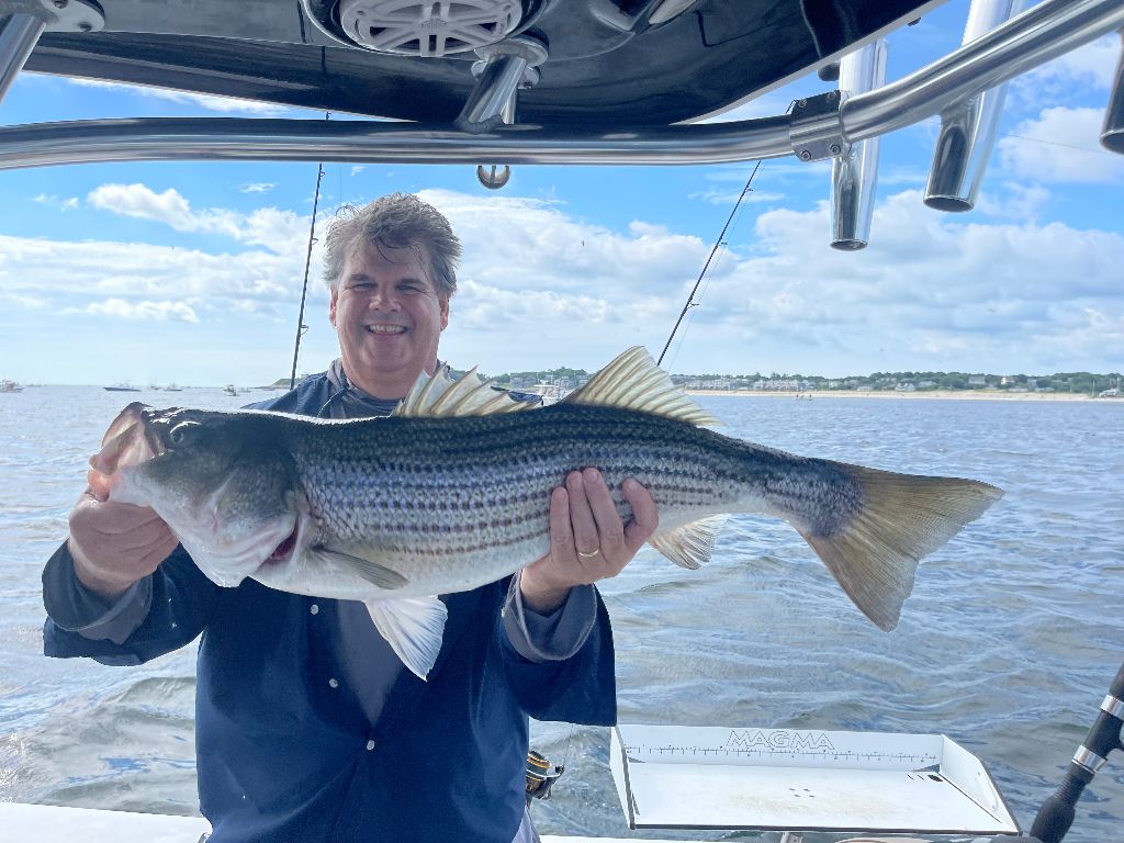 Striped bass fishing in unknown location