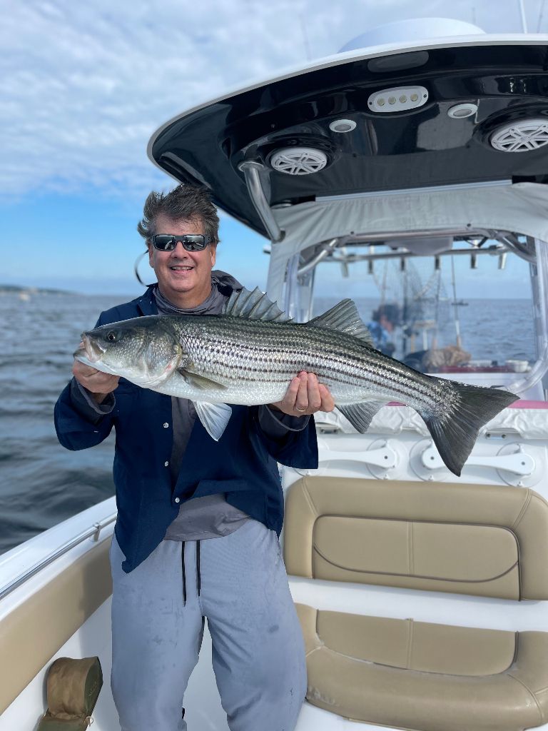 Striped bass fishing