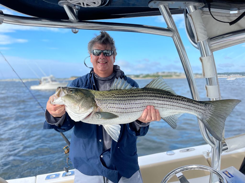 Striped bass fishing