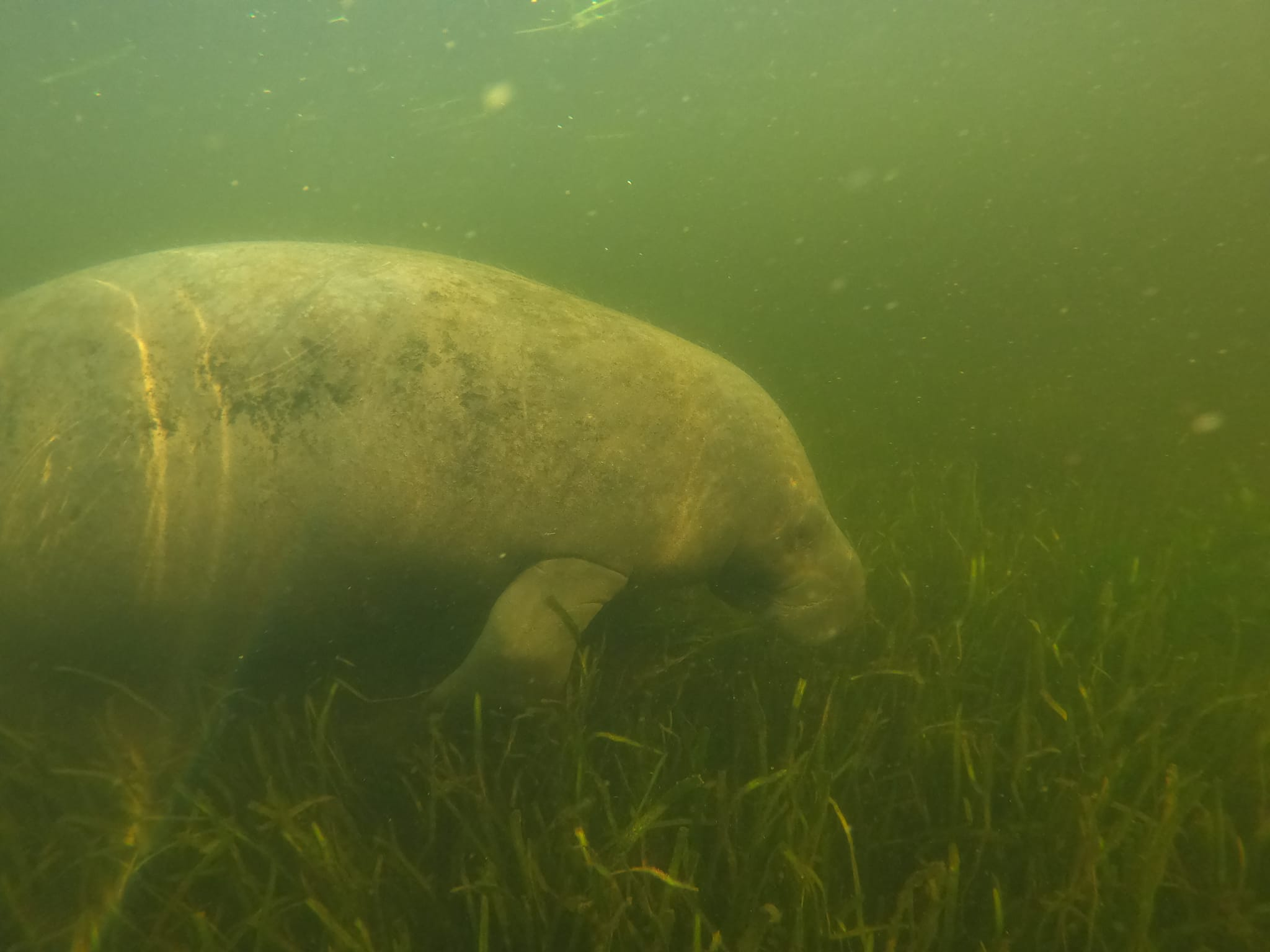 Fishing at unknown location