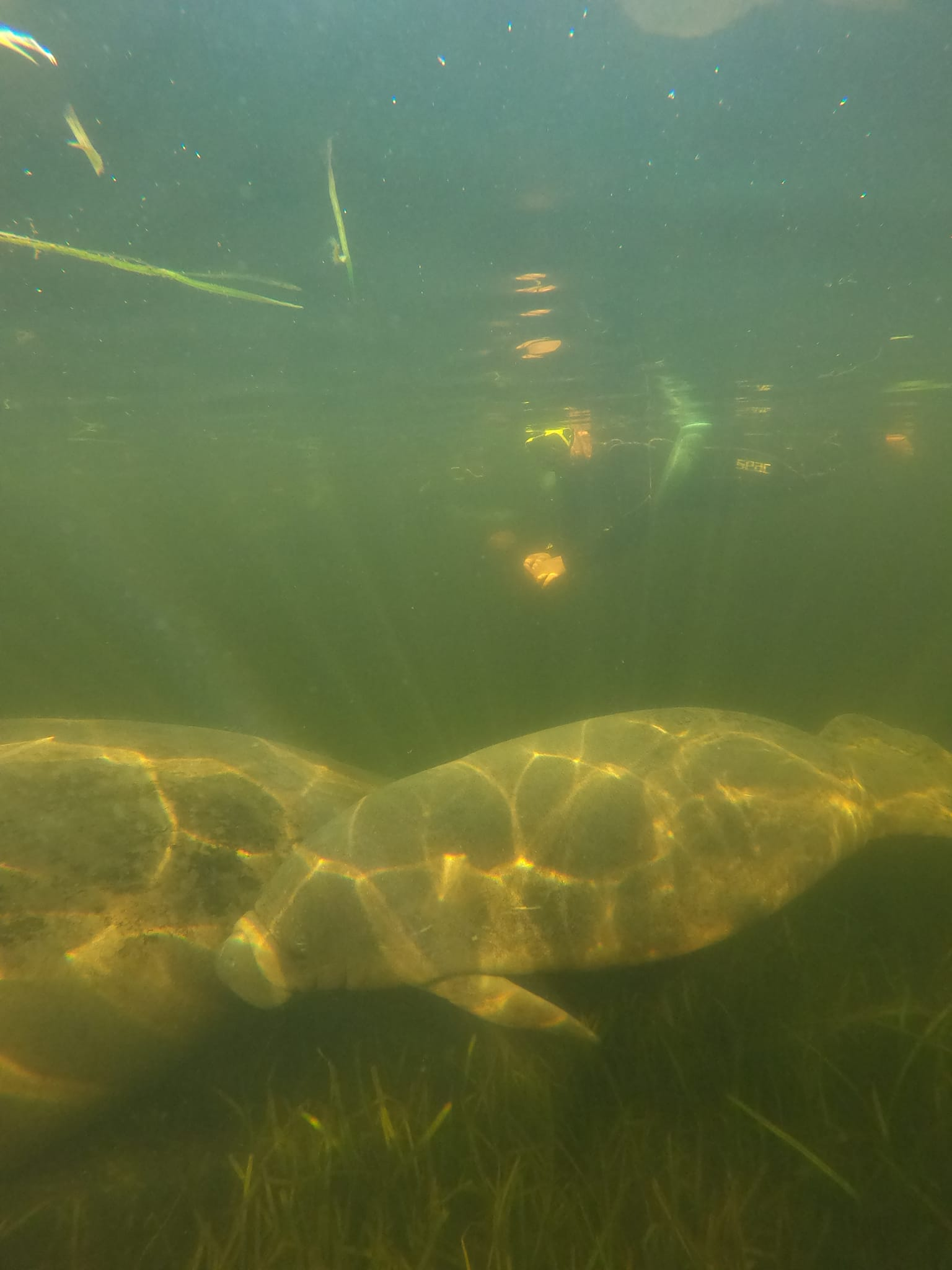 A fishing adventure in an unknown location