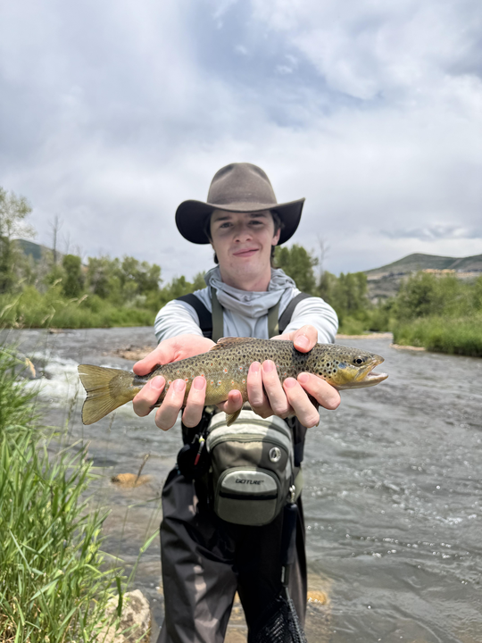 Mastering the art of fly fishing 