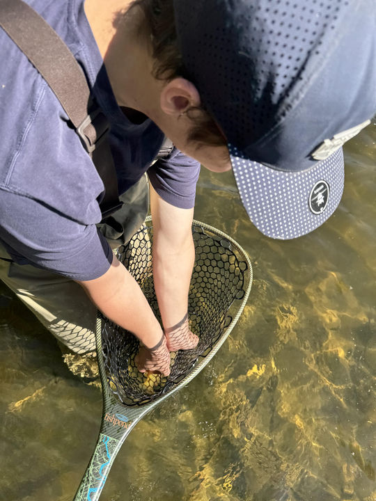 Perfect weather for mastering the art of fly fishing!