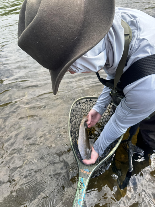 Casting lines and chasing dreams in Provo's partly cloudy paradise!