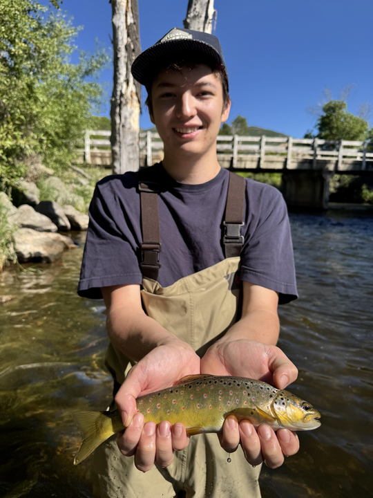 Fly Fishing The Provo