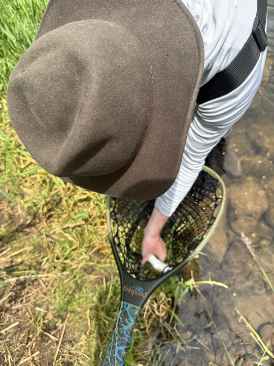 Casting lines in Provo's partly cloudy paradise!